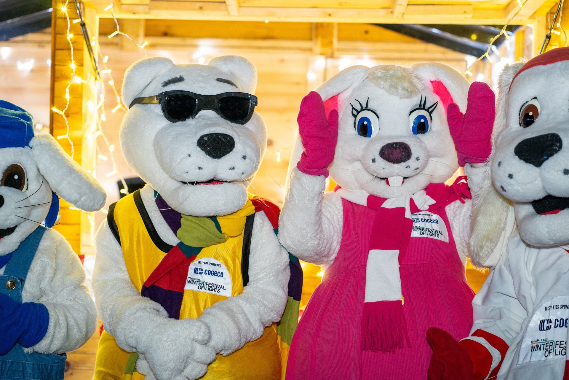 The Misty Lodge Misty Kids